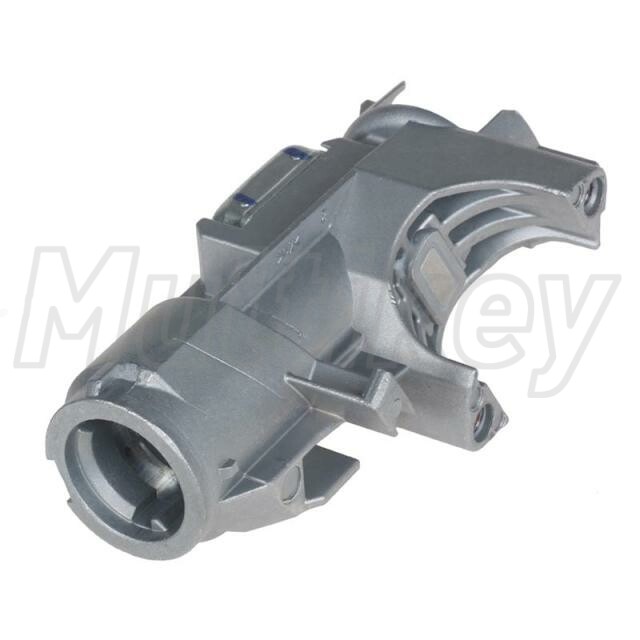 MKB04848