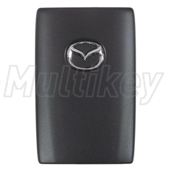 MKB04907